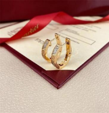 Boucles D'oreille Cercle d'Or